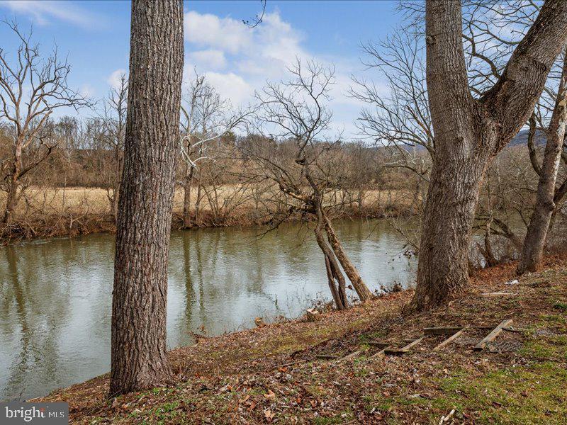 229 Forest View Road Edinburg, VA 22824 - Photo 35 of 53 Shenandoah River