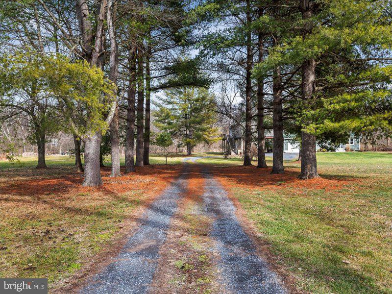 229 Forest View Road Edinburg, VA 22824 - Photo 41 of 53 Driveway from main roadway