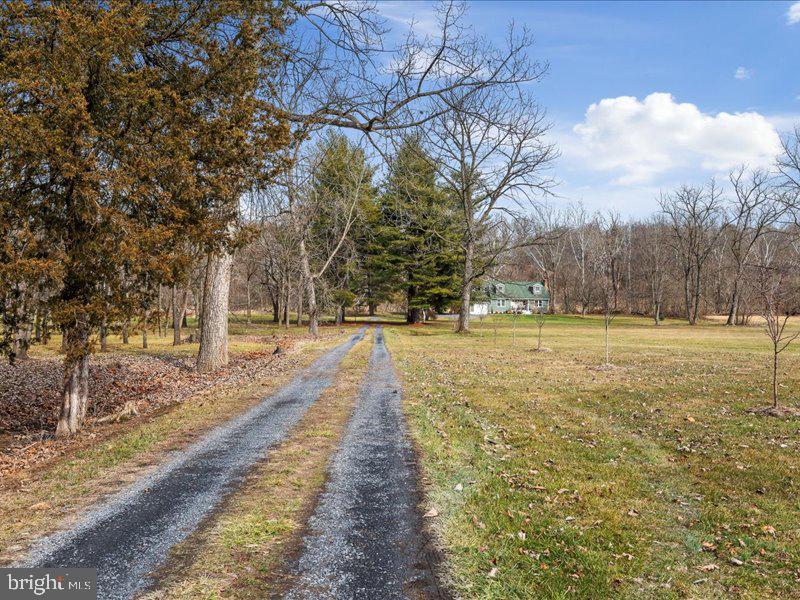 229 Forest View Road Edinburg, VA 22824 - Photo 42 of 53 Driveway from main roadway