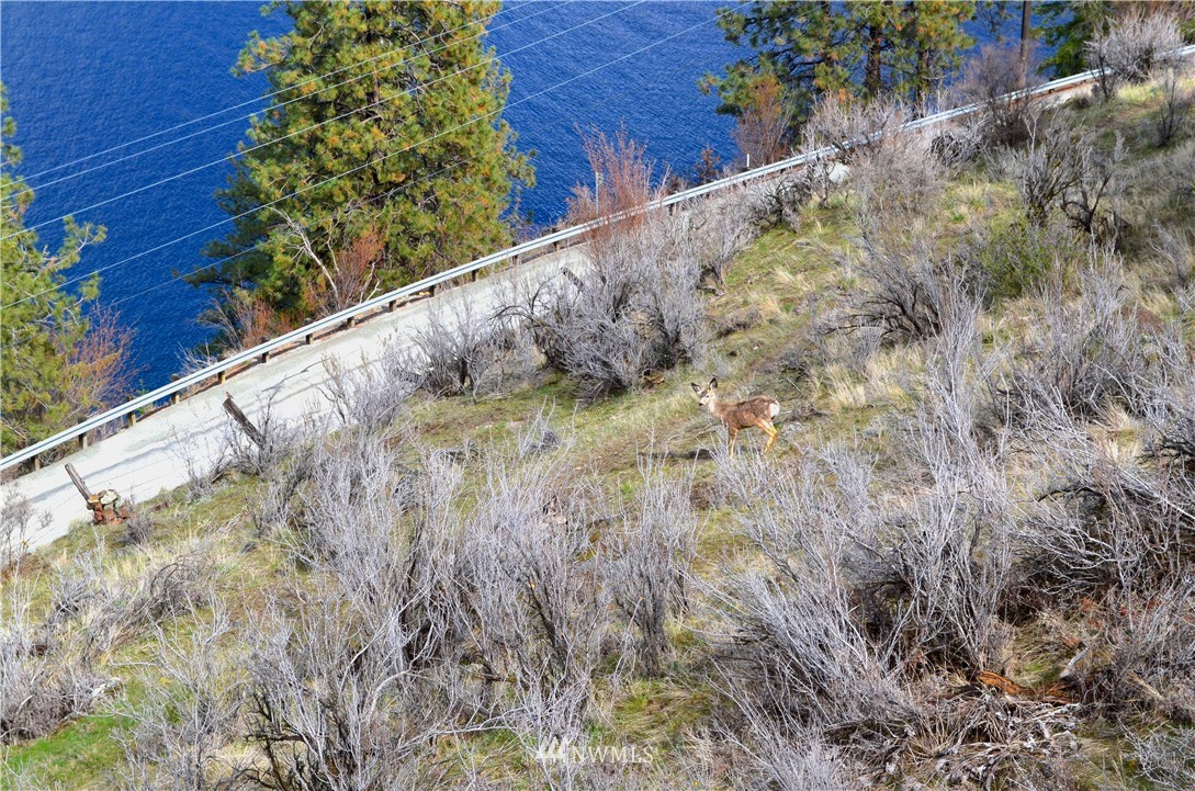 19557 South Lakeshore Road Chelan, WA 98816 - Photo 14 of 19 Gallery Image 14