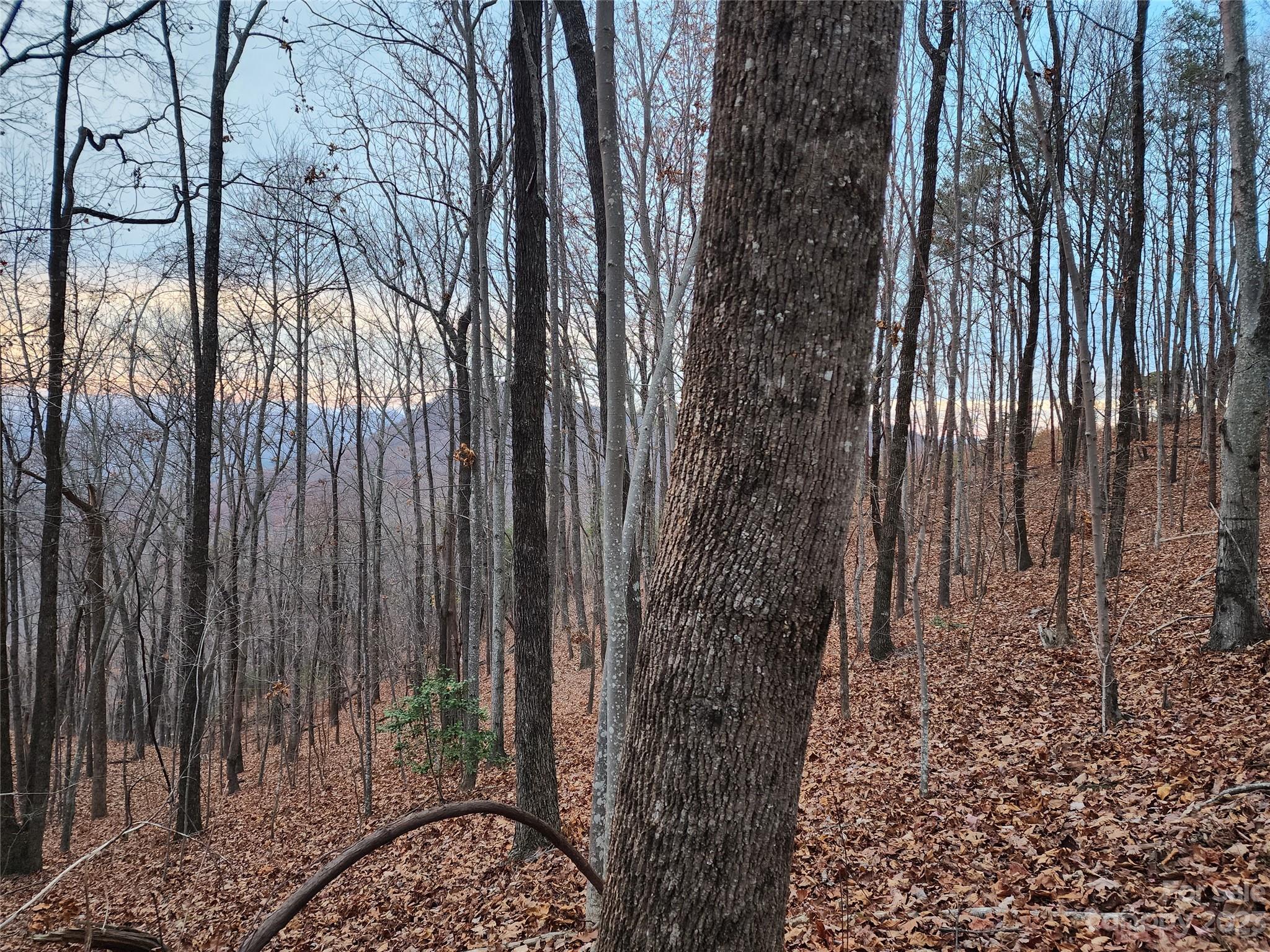 22 Amelia Lane Bostic, NC 28018 - Photo 12 of 29