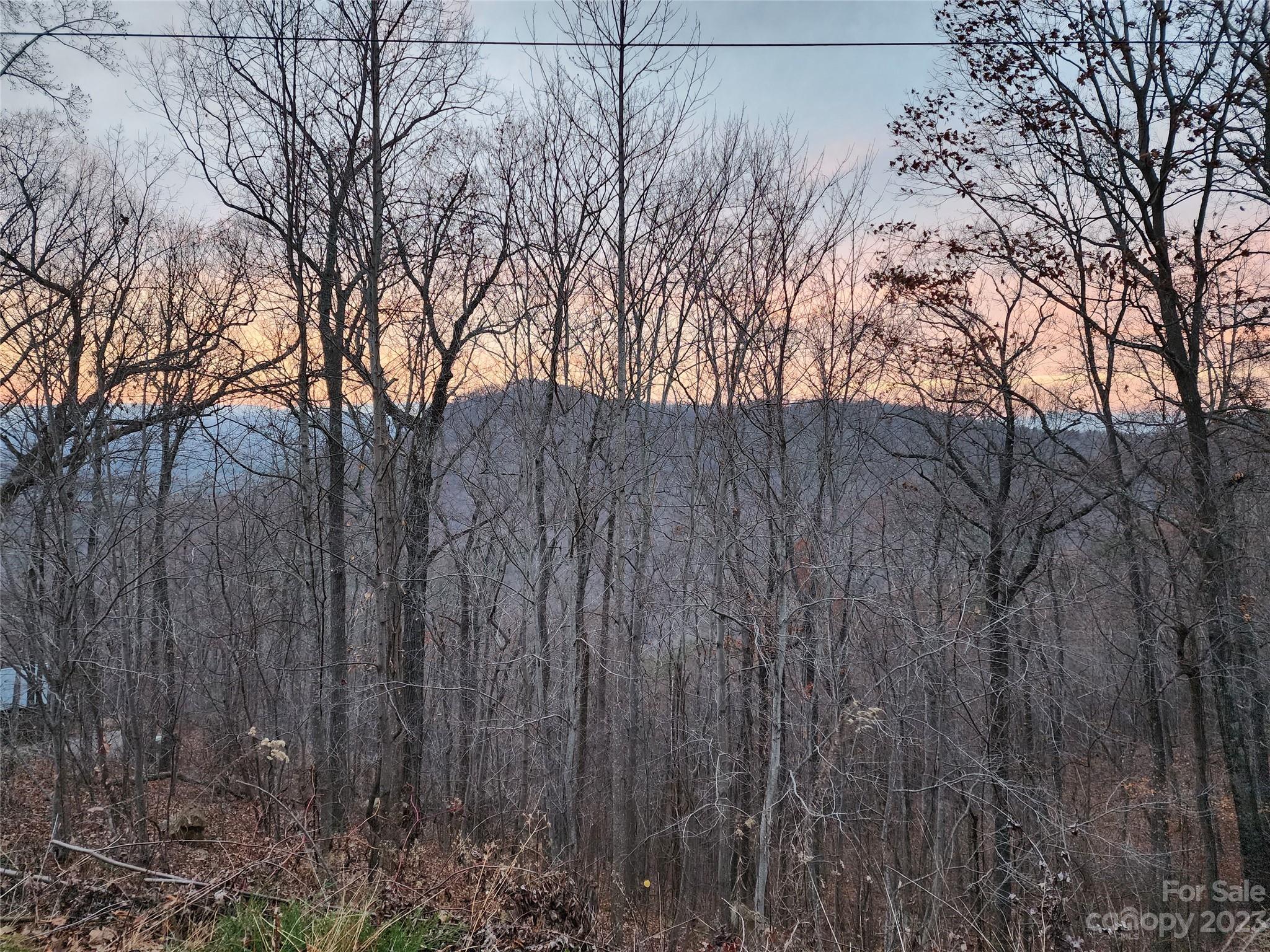 22 Amelia Lane Bostic, NC 28018 - Photo 14 of 29