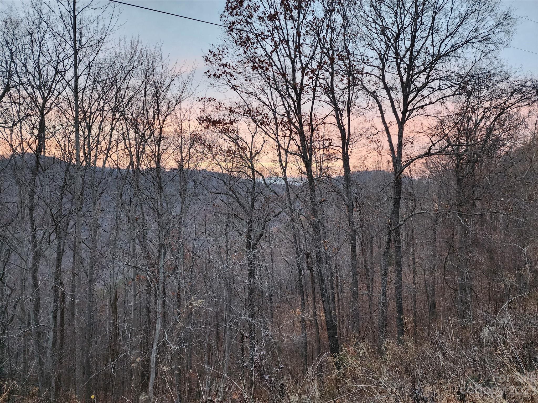 22 Amelia Lane Bostic, NC 28018 - Photo 15 of 29