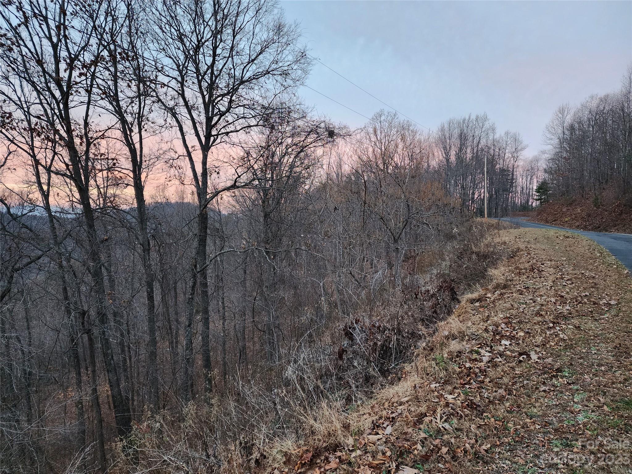 22 Amelia Lane Bostic, NC 28018 - Photo 16 of 29