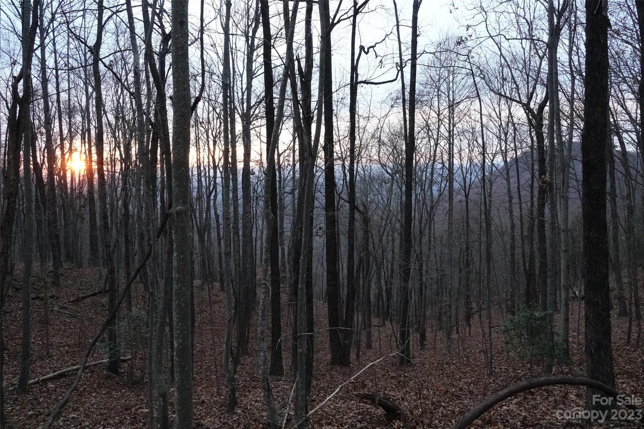 22 Amelia Lane Bostic, NC 28018 - Photo 17 of 29