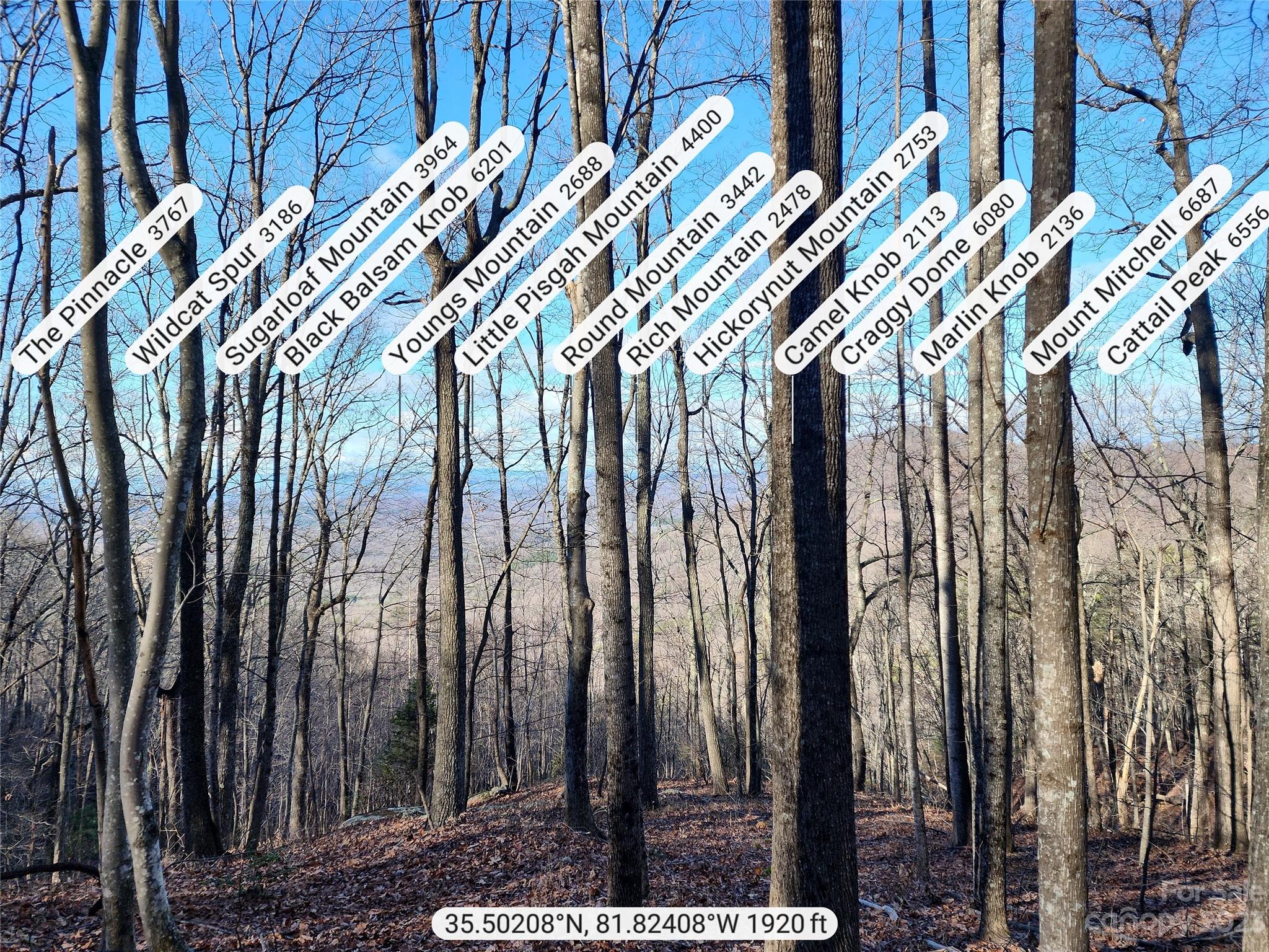 22 Amelia Lane Bostic, NC 28018 - Photo 2 of 29