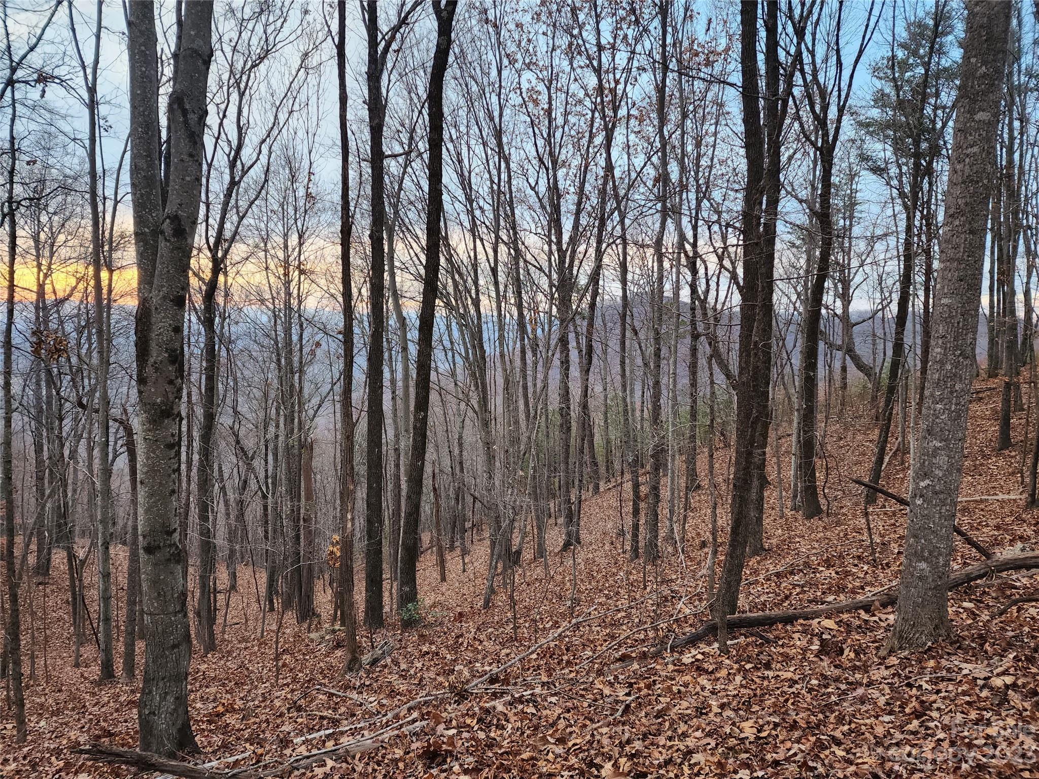 22 Amelia Lane Bostic, NC 28018 - Photo 4 of 29