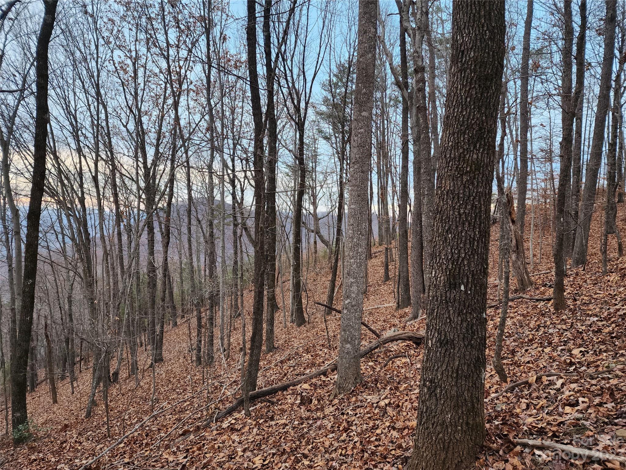 22 Amelia Lane Bostic, NC 28018 - Photo 6 of 29