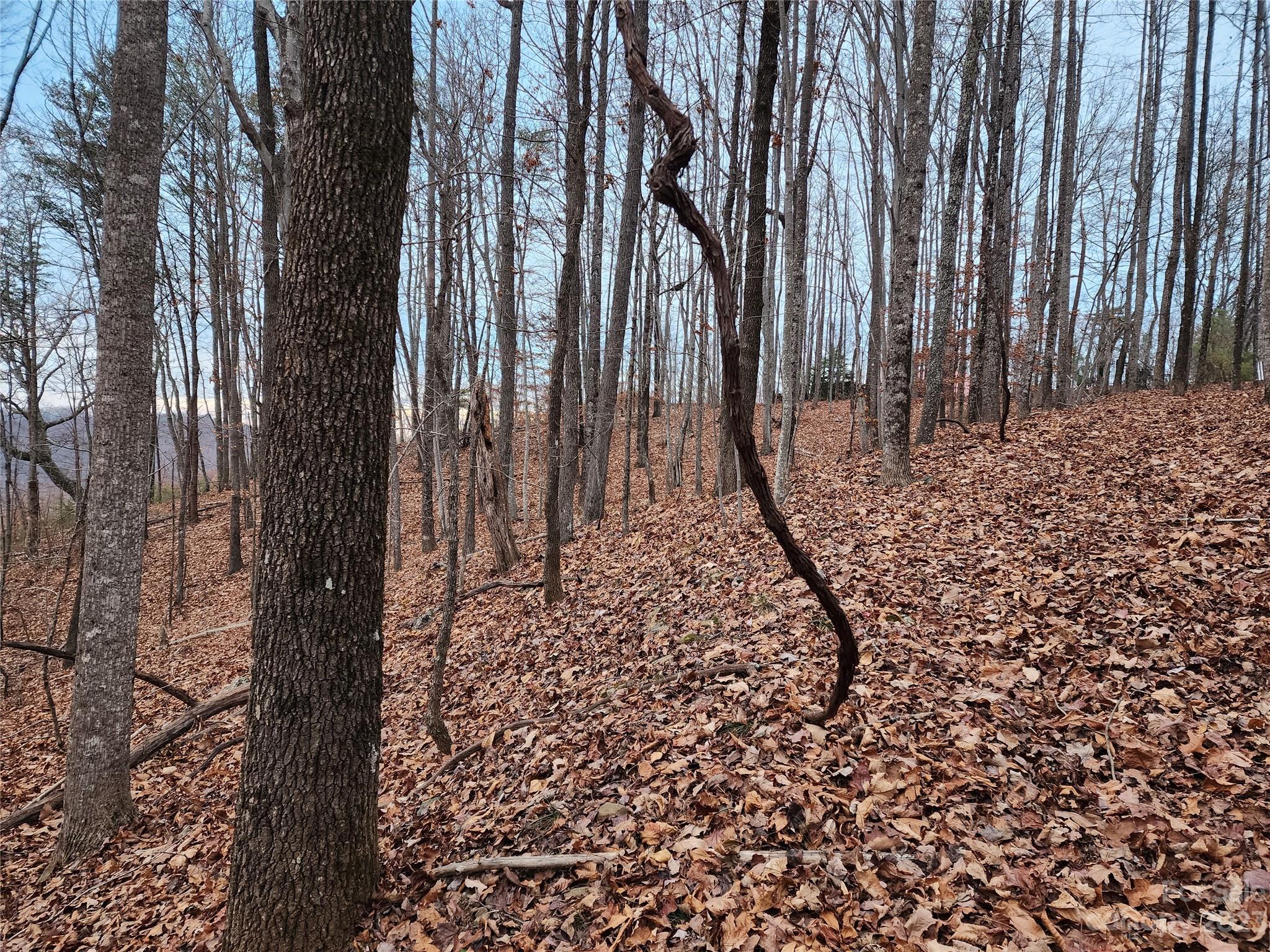 22 Amelia Lane Bostic, NC 28018 - Photo 7 of 29