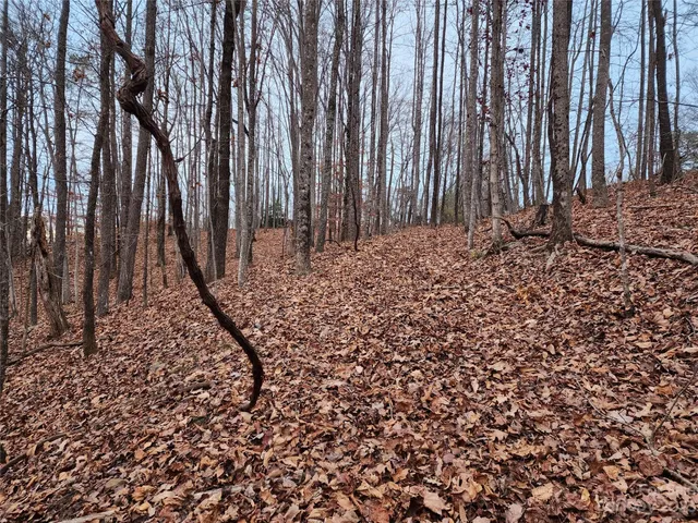a view of a backyard with pathway