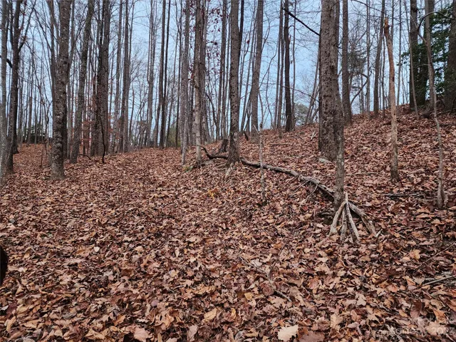 a view of outdoor space with chairs