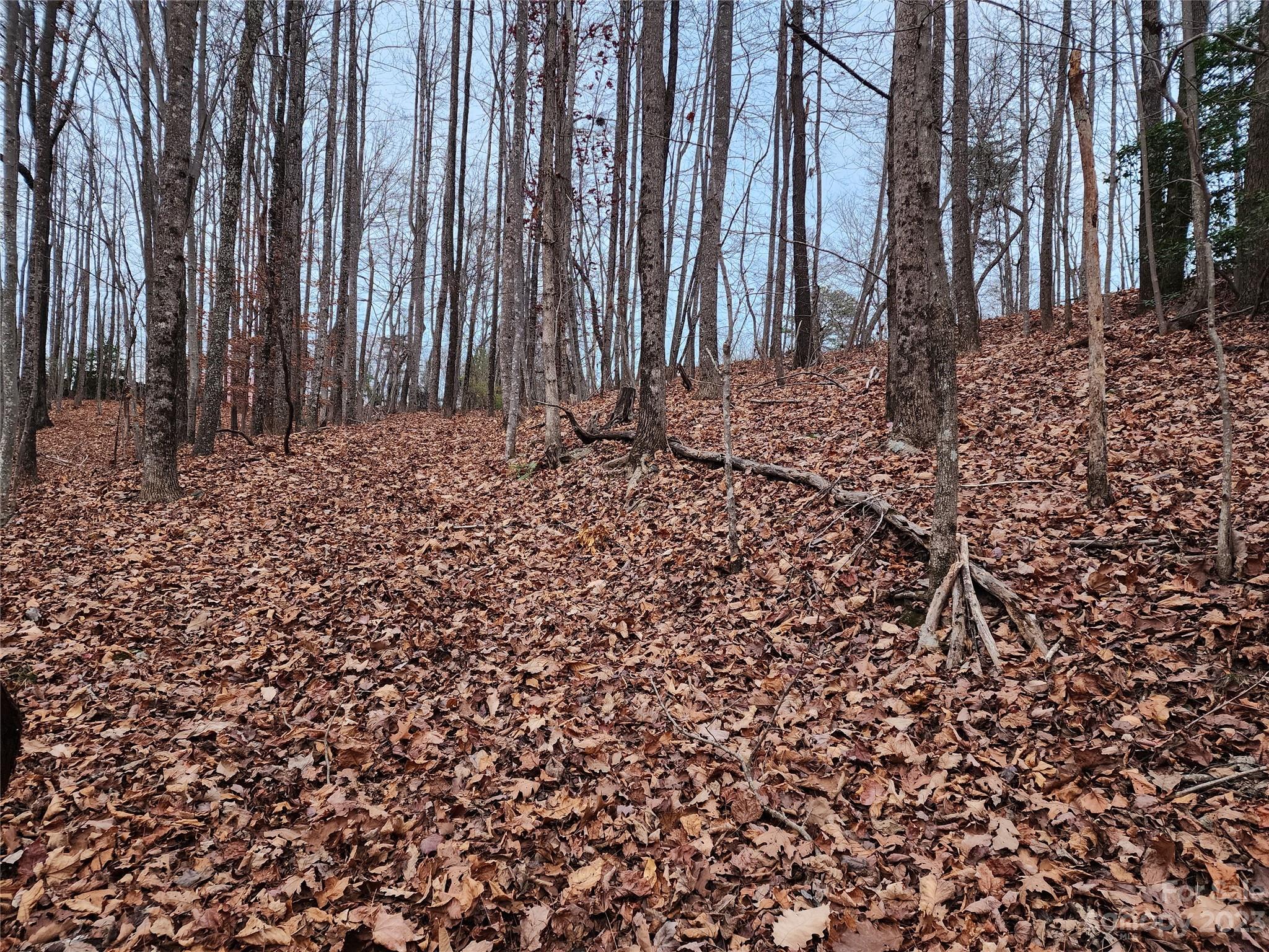 22 Amelia Lane Bostic, NC 28018 - Photo 9 of 29