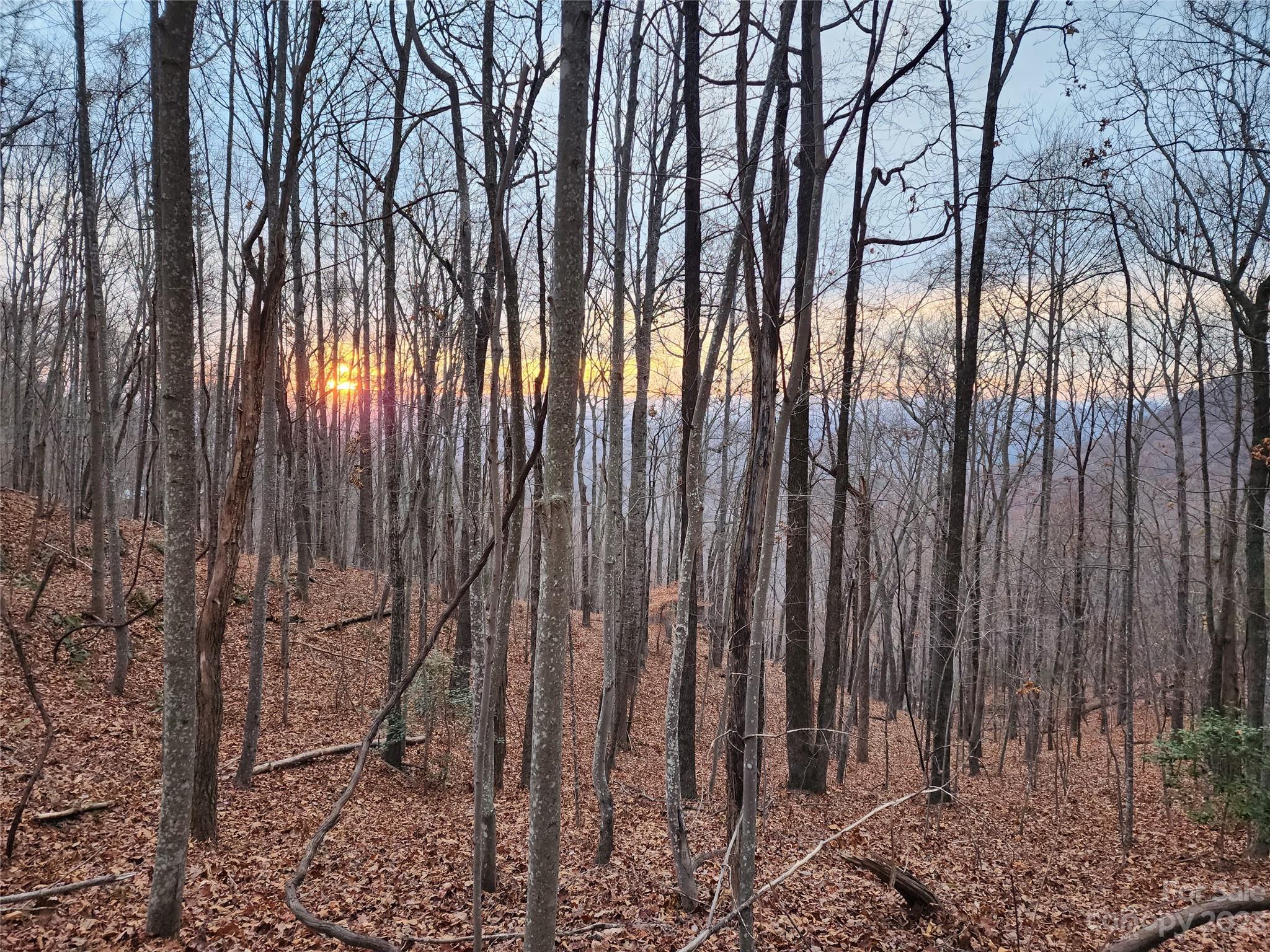 22 Amelia Lane Bostic, NC 28018 - Photo 10 of 29