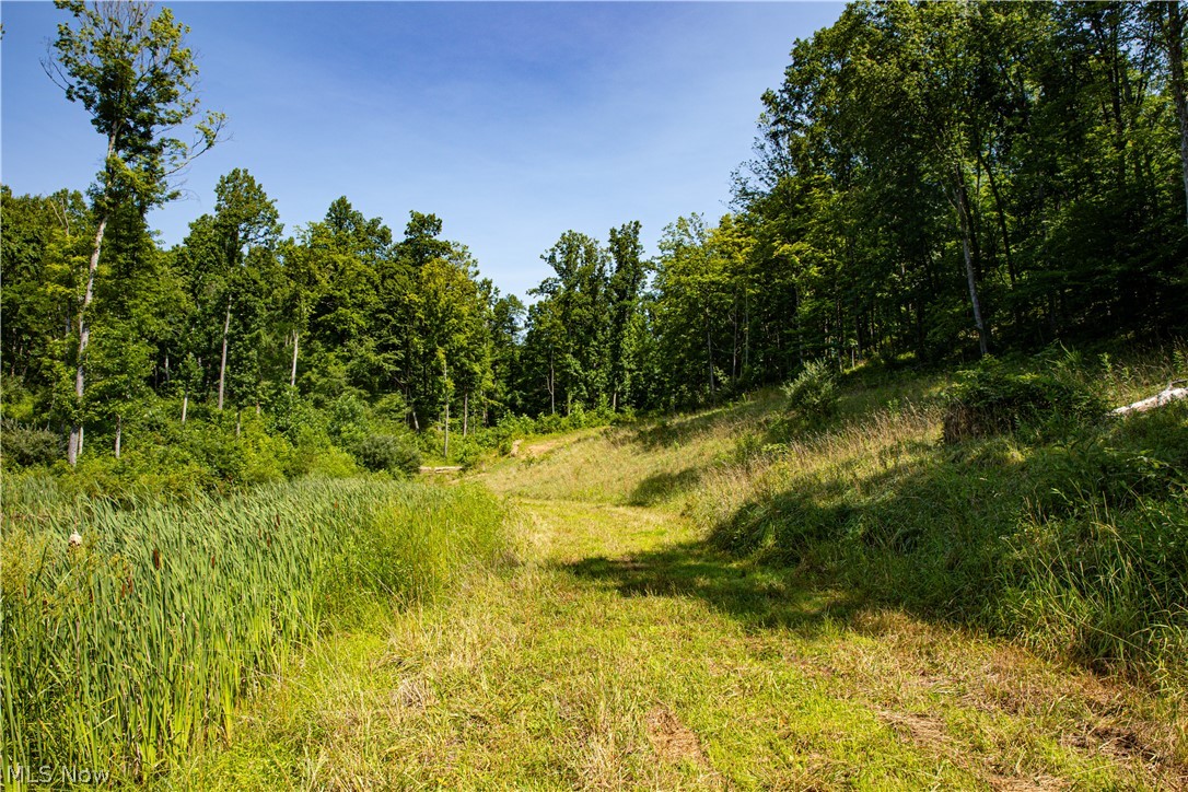 27339 Tabor Ridge Road Caldwell, OH 43724 - Photo 45 of 50