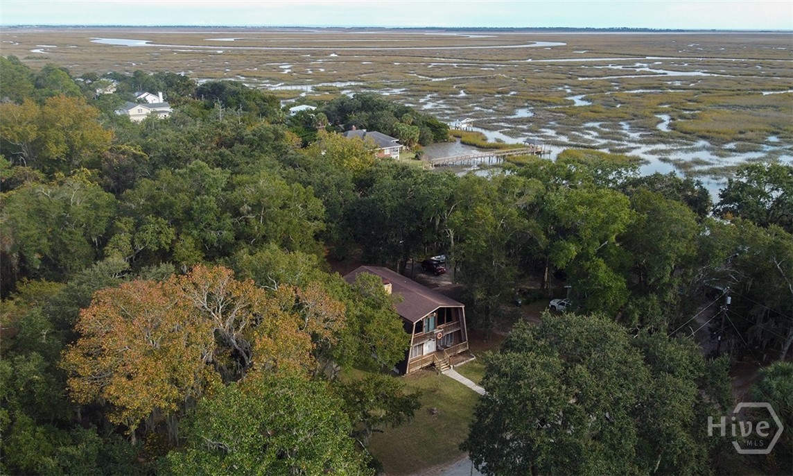 24 Crisp Street Savannah, GA 31410 - Photo 3 of 50