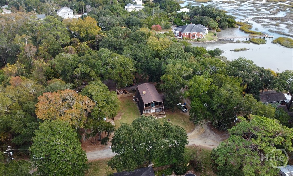 24 Crisp Street Savannah, GA 31410 - Photo 4 of 50