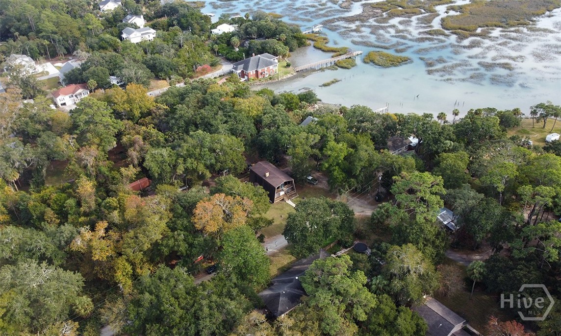 24 Crisp Street Savannah, GA 31410 - Photo 47 of 50