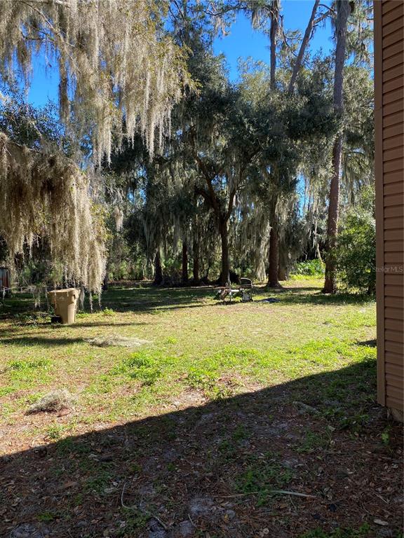 31018 Cove Road Tavares, FL 32778 - Photo 22 of 25