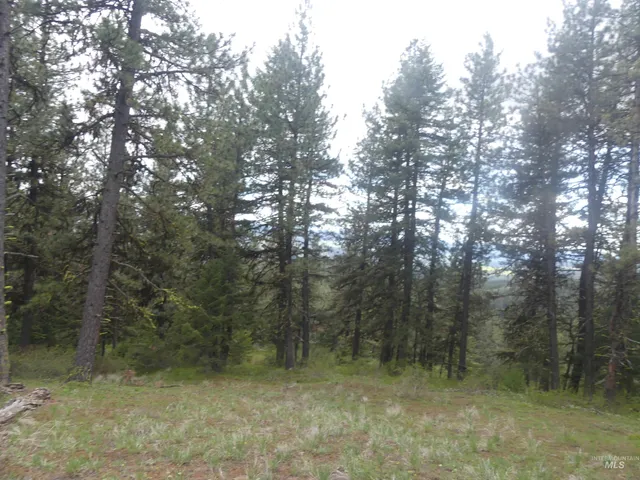 $350,000 | 0 Hansen Ridge Road, Anatone, WA 99401