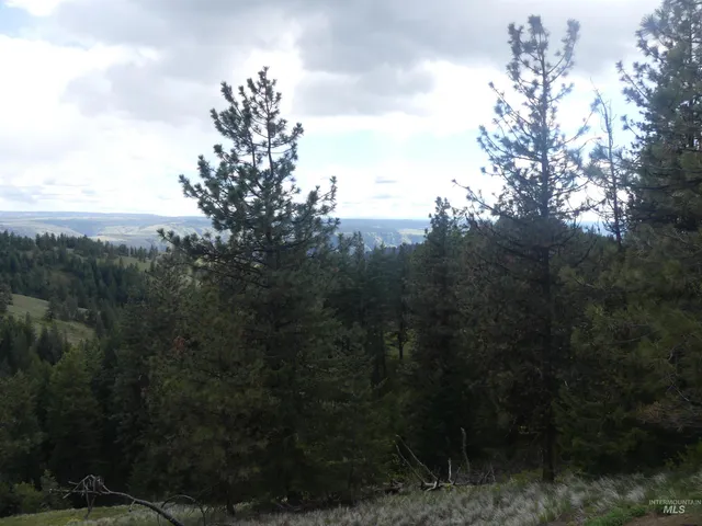 $350,000 | 0 Hansen Ridge Road, Anatone, WA 99401