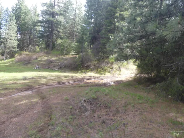 $350,000 | 0 Hansen Ridge Road, Anatone, WA 99401