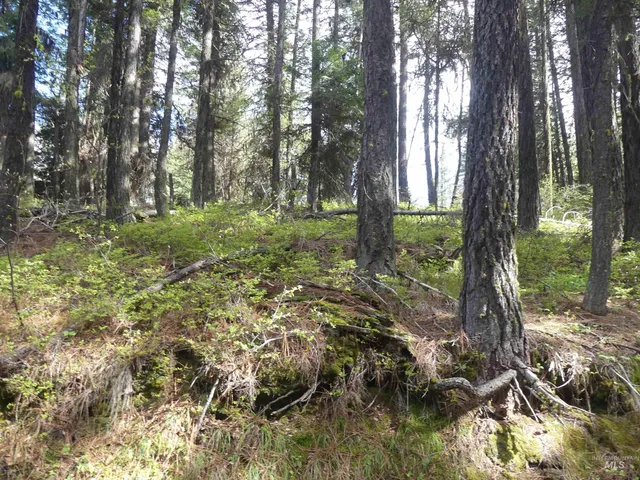 $350,000 | 0 Hansen Ridge Road, Anatone, WA 99401