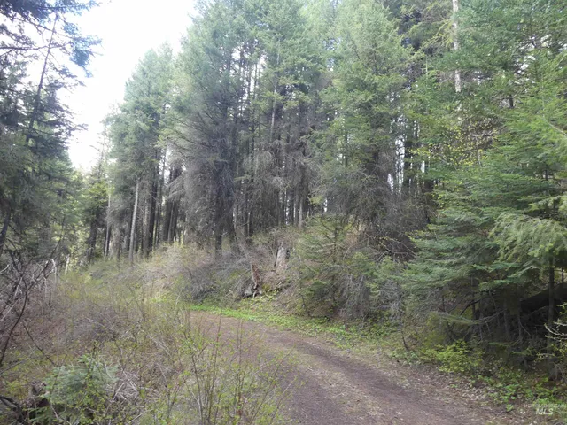 $350,000 | 0 Hansen Ridge Road, Anatone, WA 99401