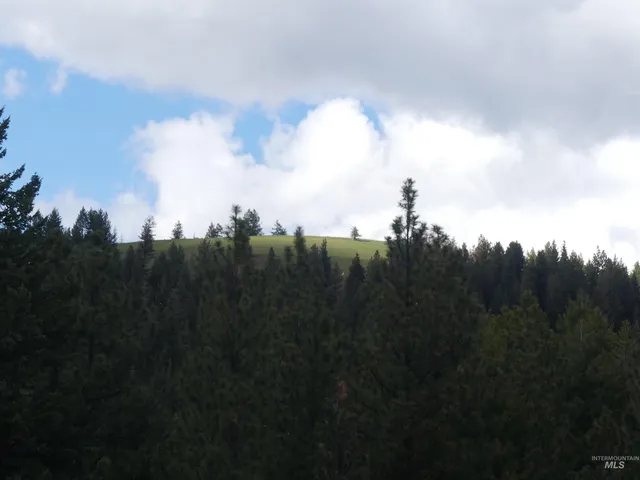 $350,000 | 0 Hansen Ridge Road, Anatone, WA 99401