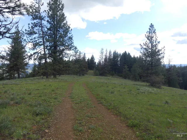 $350,000 | 0 Hansen Ridge Road, Anatone, WA 99401