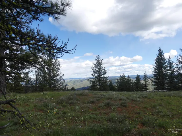 $350,000 | 0 Hansen Ridge Road, Anatone, WA 99401