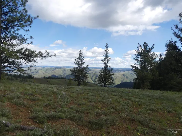 $350,000 | 0 Hansen Ridge Road, Anatone, WA 99401