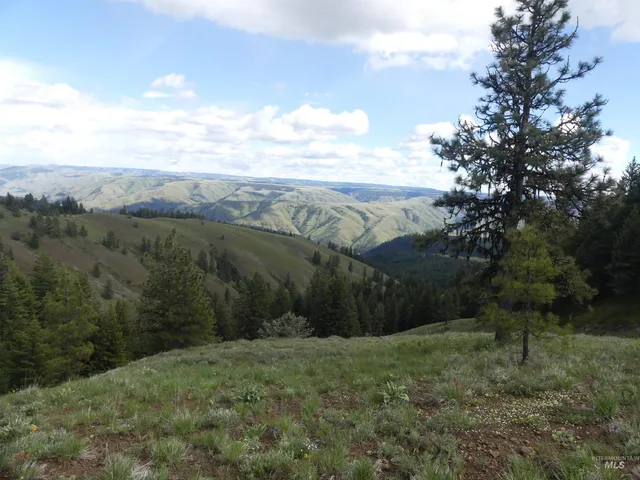 $350,000 | 0 Hansen Ridge Road, Anatone, WA 99401