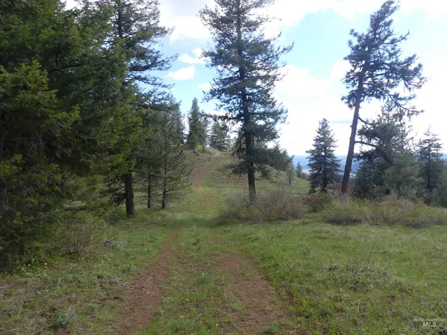 $350,000 | 0 Hansen Ridge Road, Anatone, WA 99401