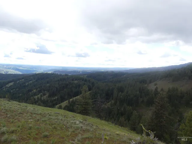 $350,000 | 0 Hansen Ridge Road, Anatone, WA 99401