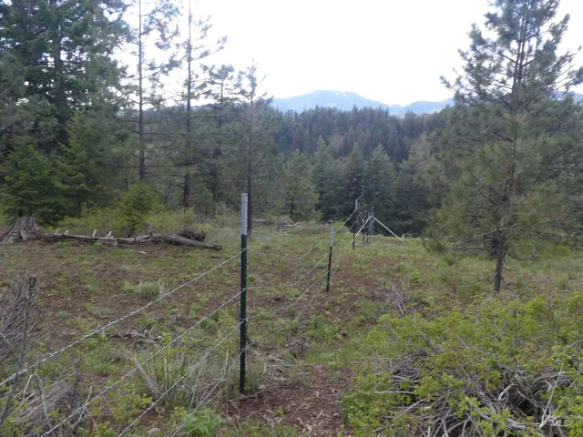 $350,000 | 0 Hansen Ridge Road, Anatone, WA 99401