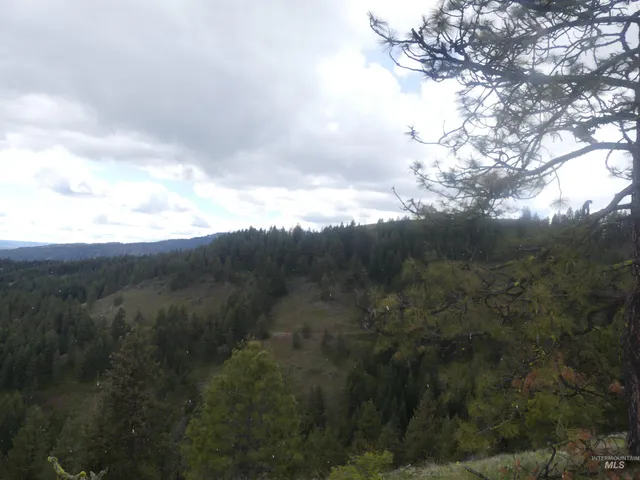 $350,000 | 0 Hansen Ridge Road, Anatone, WA 99401