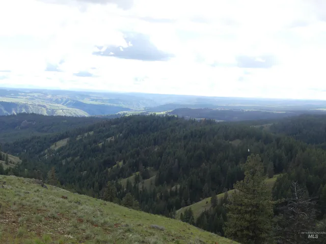 $350,000 | 0 Hansen Ridge Road, Anatone, WA 99401