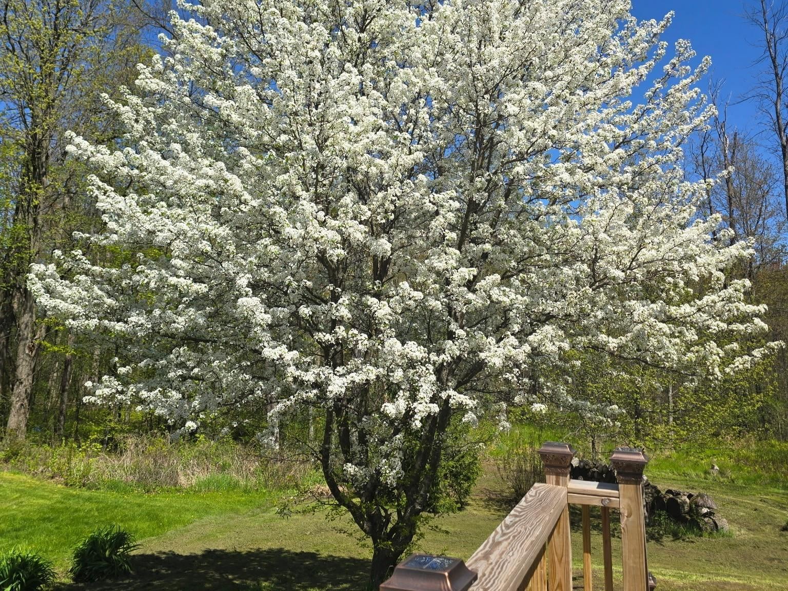 236 Baker Street Alburgh, VT 05440 - Photo 38 of 49