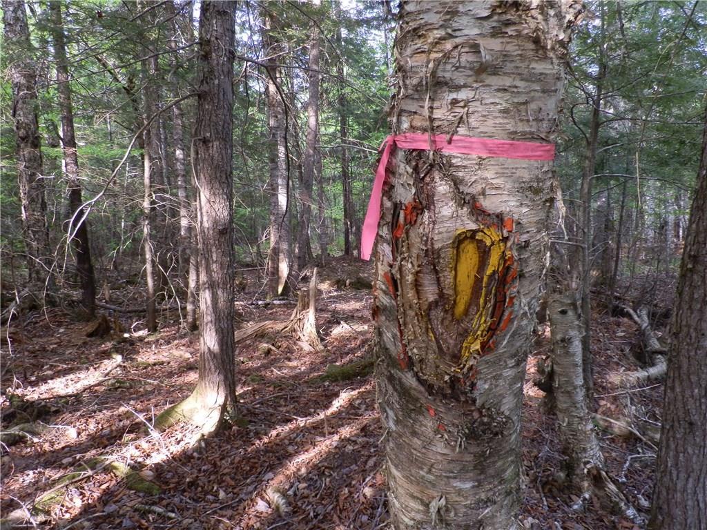 0 Bottle Lake Road Springfield, ME 04487 - Photo 2 of 25 Photo