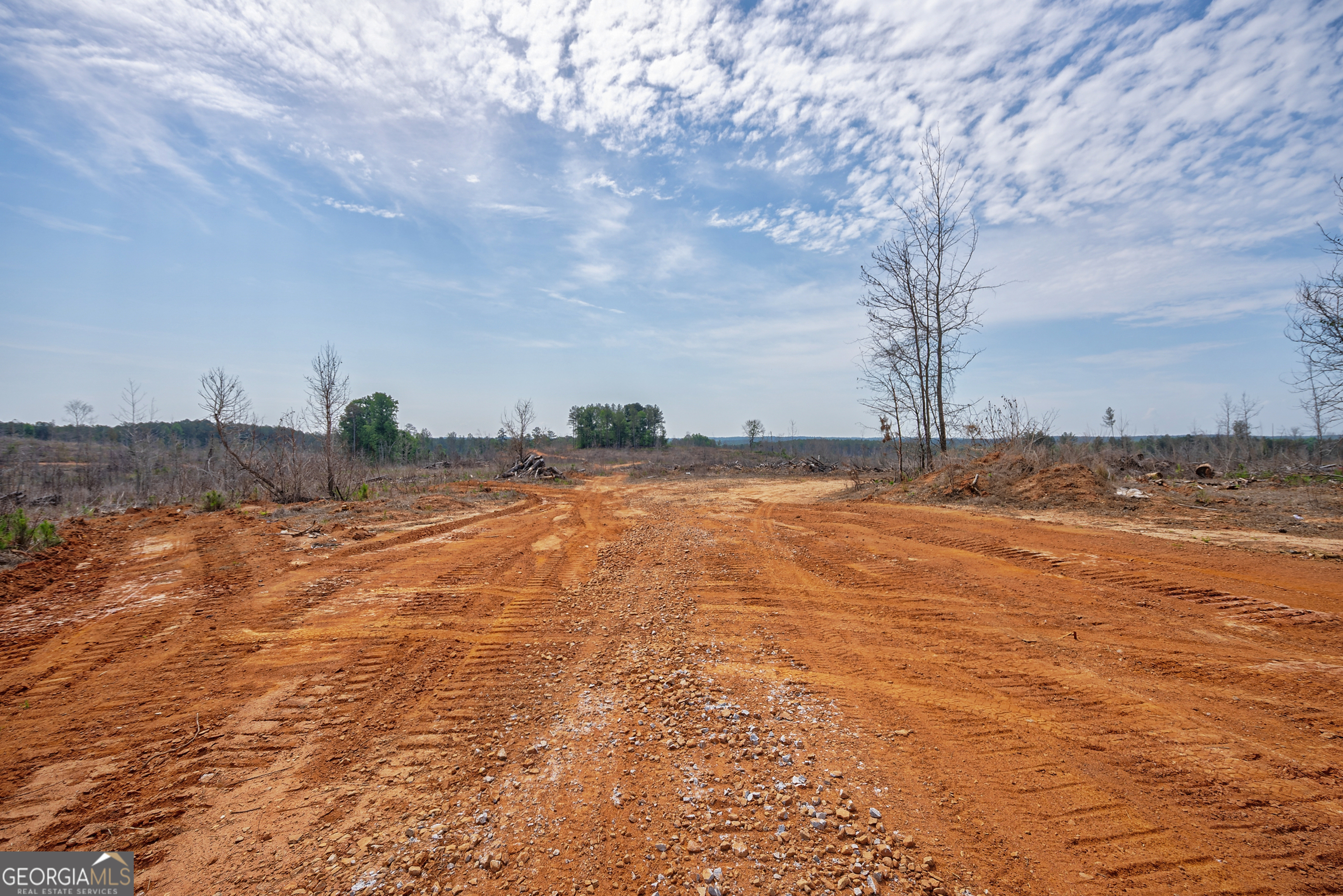 0 Gene Smith Road Carlton, GA 30627 - Photo 6 of 29 a view of a ocean with trees