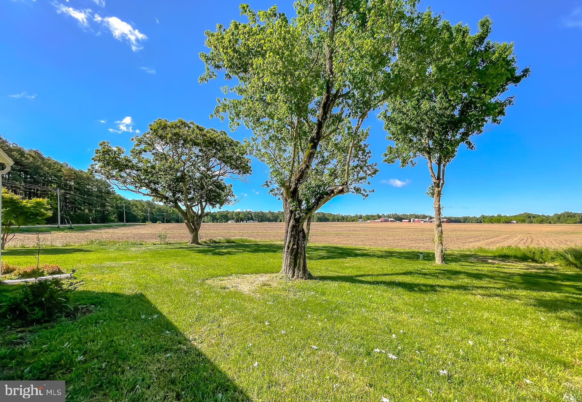 21859 Indian Bridge Road California, MD 20619 - Photo 4 of 42