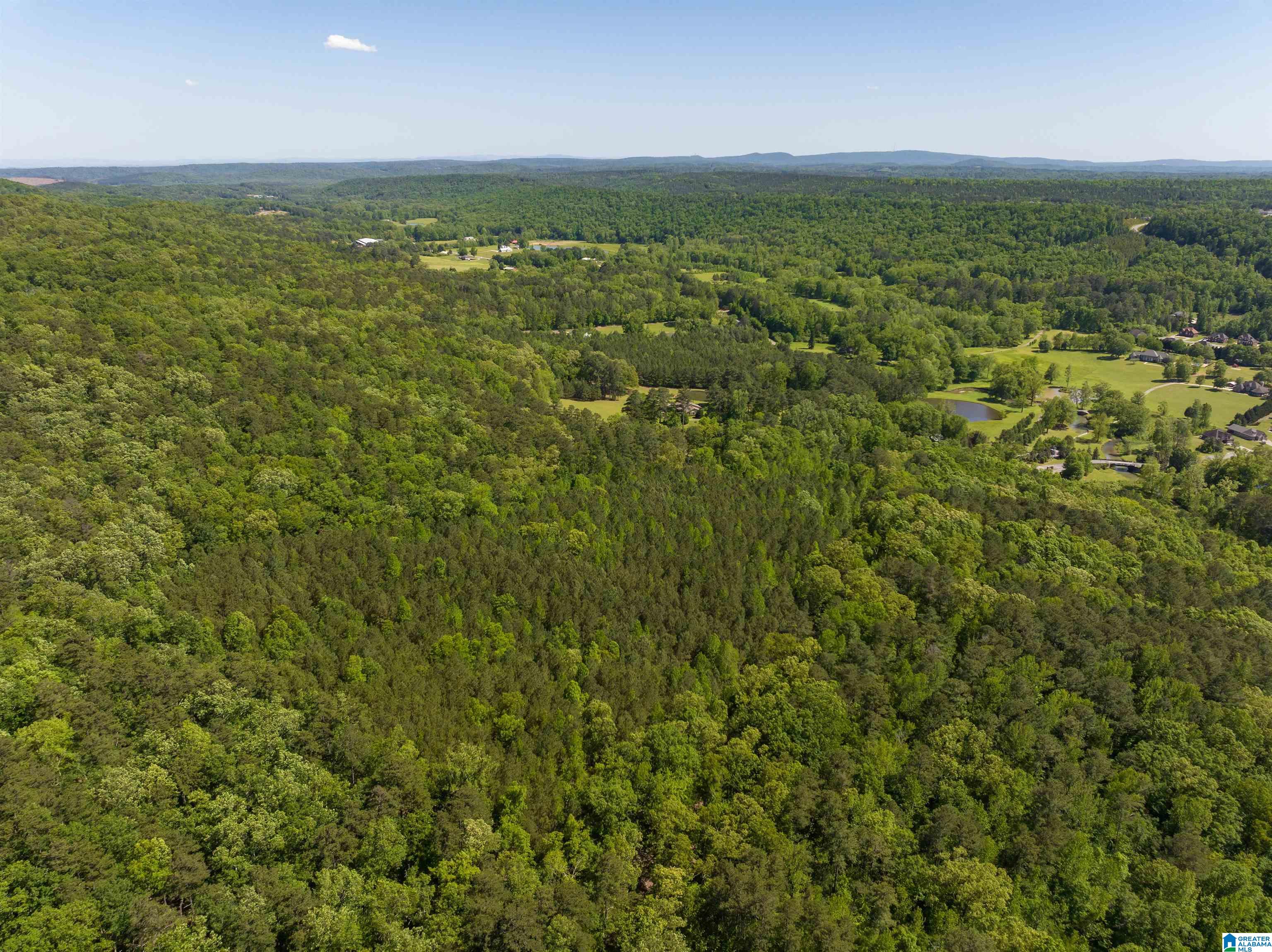 1649 Highway 174 Springville, AL 35146 - Photo 8 of 8