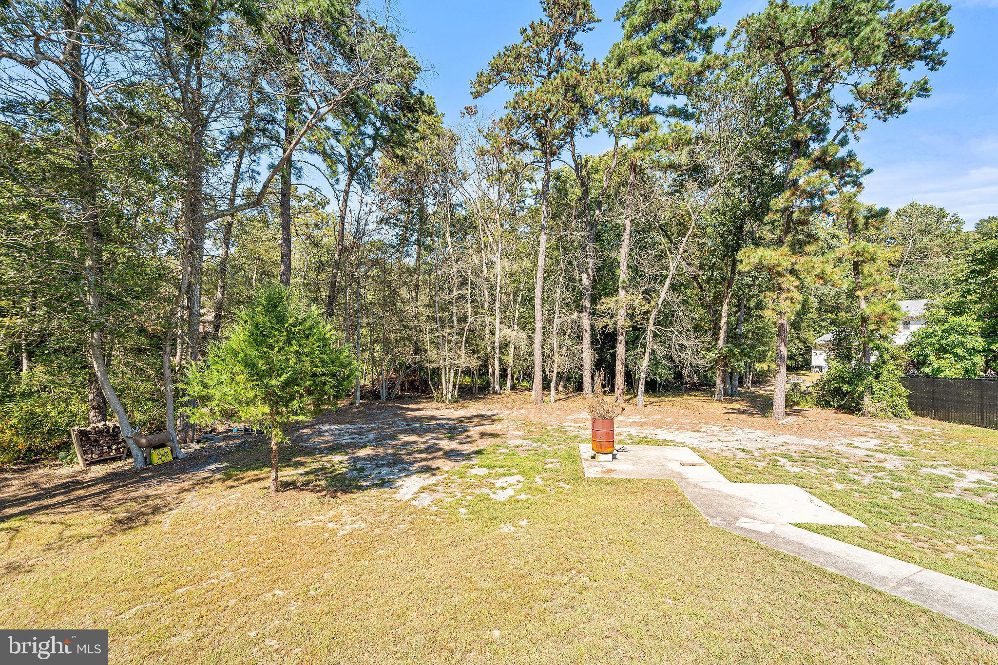 16 Laurel Trail Bridgeton, NJ 08302 - Photo 3 of 31 a view of yard with swimming pool and trees in the background