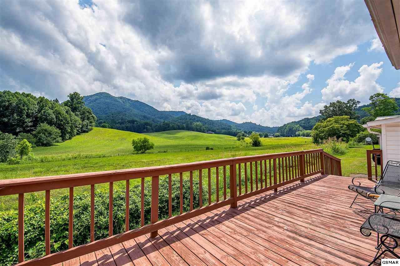 39693975 Wears Valley Road Sevierville, TN 37863 - Photo 12 of 14