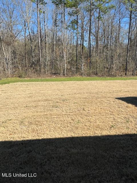 248 Chartleigh Circle Canton, MS 39046 - Photo 12 of 18 IMG_6302