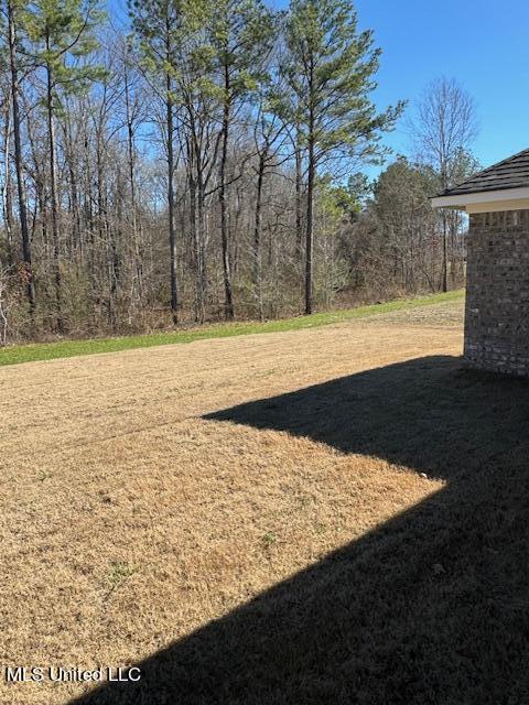 248 Chartleigh Circle Canton, MS 39046 - Photo 15 of 18 IMG_6305