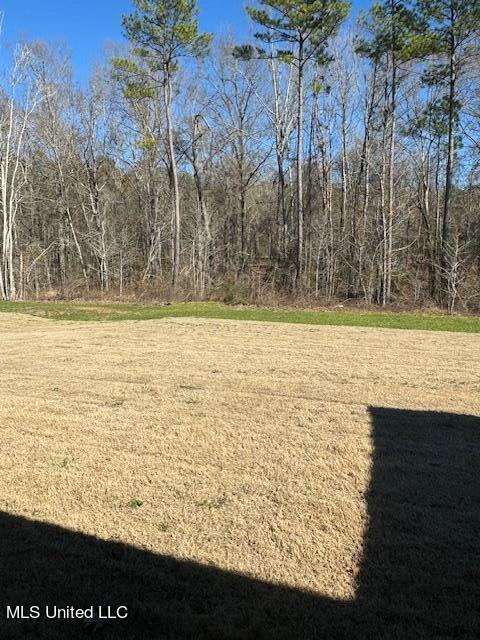 248 Chartleigh Circle Canton, MS 39046 - Photo 16 of 18 IMG_6306