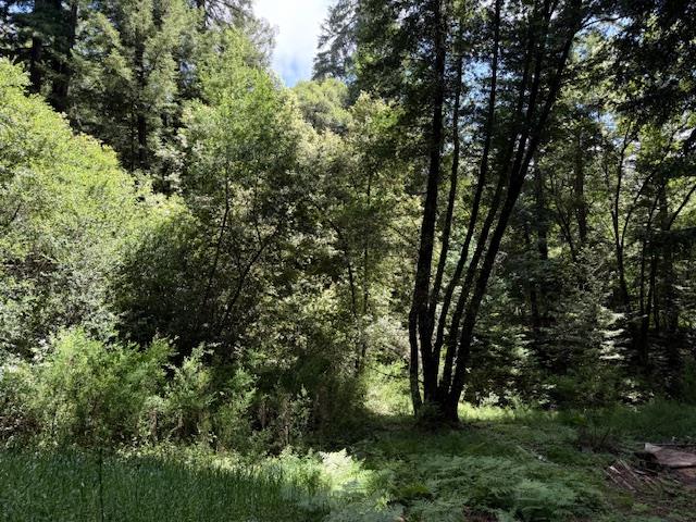 1701 Felton Quarry Road Felton, CA 95018 - Photo 12 of 13