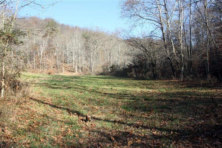 1916 Caudill Road Stanton, KY 40380 - Photo 3 of 13 Photo 3