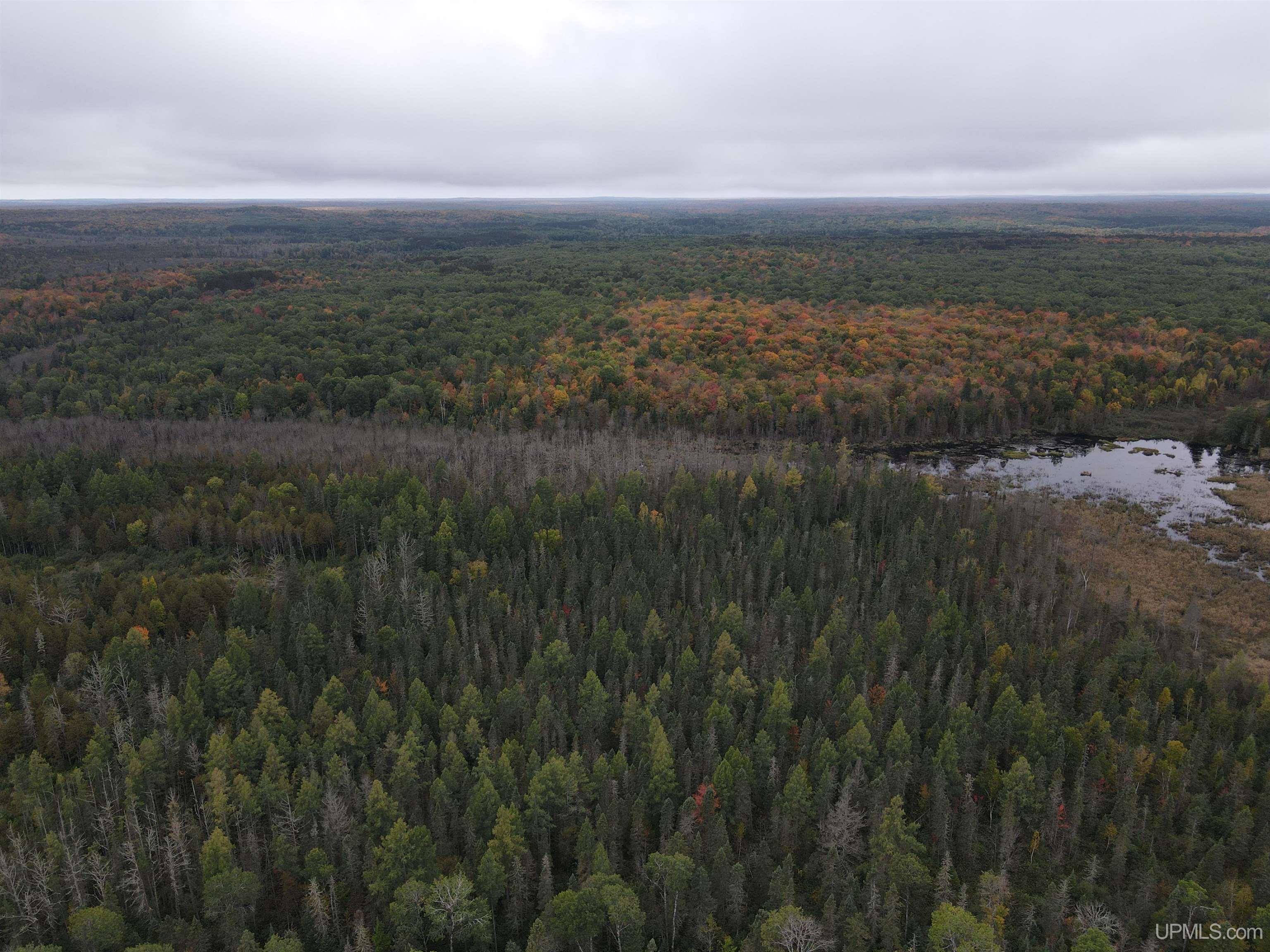 On Dunham Road Marenisco, MI 49947 - Photo 41 of 47